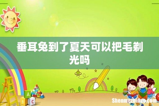 垂耳兔到了夏天可以把毛剃光吗