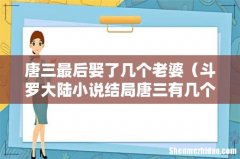 斗罗大陆小说结局唐三有几个媳妇 唐三最后娶了几个老婆