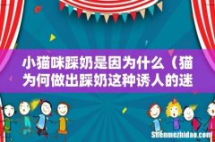 猫为何做出踩奶这种诱人的迷惑行为 小猫咪踩奶是因为什么