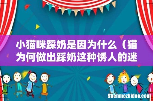 猫为何做出踩奶这种诱人的迷惑行为 小猫咪踩奶是因为什么