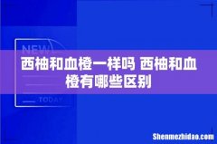 西柚和血橙一样吗 西柚和血橙有哪些区别