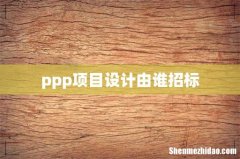 ppp项目设计由谁招标