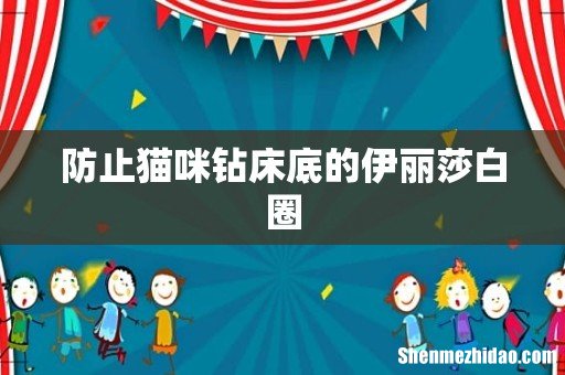 防止猫咪钻床底的伊丽莎白圈