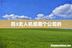 燕3无人机是哪个公司的