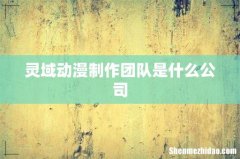 灵域动漫制作团队是什么公司