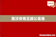 楚汉传奇王陵公是谁