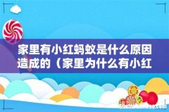 家里为什么有小红蚂蚁 家里有小红蚂蚁是什么原因造成的