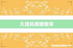 久经风雨猜数字