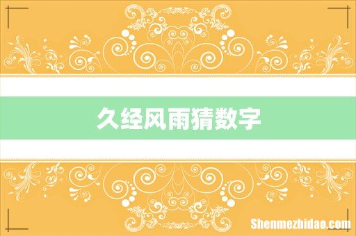 久经风雨猜数字