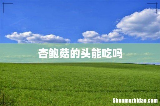 杏鲍菇的头能吃吗