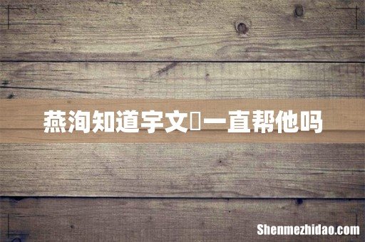 燕洵知道宇文玥一直帮他吗