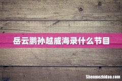 岳云鹏孙越威海录什么节目