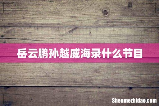 岳云鹏孙越威海录什么节目