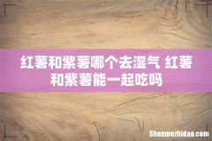 红薯和紫薯哪个去湿气 红薯和紫薯能一起吃吗