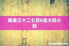 胸罩三十二七百b是大码小码
