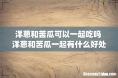洋葱和苦瓜可以一起吃吗 洋葱和苦瓜一起有什么好处_1