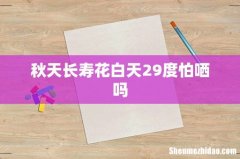 秋天长寿花白天29度怕哂吗