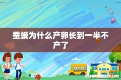 蚕蛾为什么产卵长到一半不产了