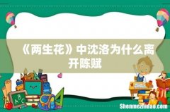 《两生花》中沈洛为什么离开陈赋