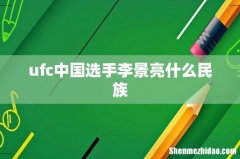 ufc中国选手李景亮什么民族