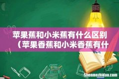 苹果香蕉和小米香蕉有什么区别 苹果蕉和小米蕉有什么区别