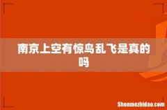 南京上空有惊鸟乱飞是真的吗