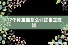 17个月宝宝怎么训练自主吃饭