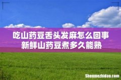 吃山药豆舌头发麻怎么回事 新鲜山药豆煮多久能熟
