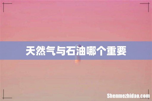 天然气与石油哪个重要