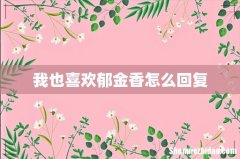 我也喜欢郁金香怎么回复