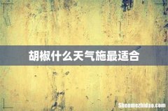 胡椒什么天气施最适合