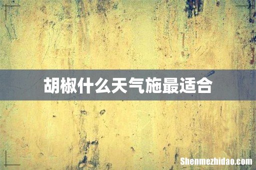 胡椒什么天气施最适合