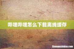 哔哩哔哩怎么下载离线缓存