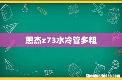 恩杰z73水冷管多粗