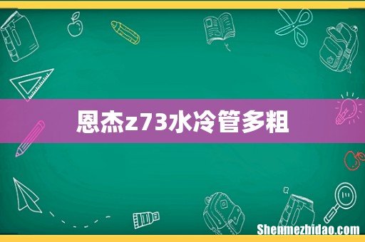 恩杰z73水冷管多粗