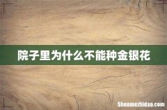 院子里为什么不能种金银花