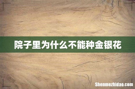 院子里为什么不能种金银花