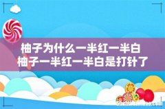 柚子为什么一半红一半白 柚子一半红一半白是打针了吗