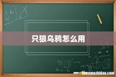 只狼乌鸦怎么用