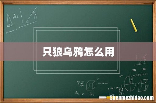 只狼乌鸦怎么用