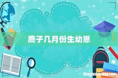 麂子几月份生幼崽