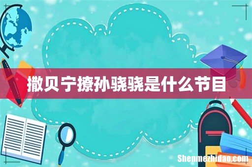 撒贝宁撩孙骁骁是什么节目