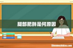 腿部肥胖是何原因