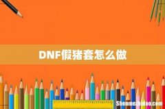DNF假猪套怎么做