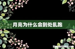 月亮为什么会到处乱跑