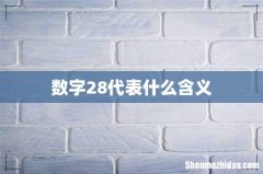 数字28代表什么含义