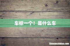 车标一个！是什么车