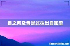 目之所及皆是过往出自哪里