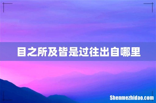 目之所及皆是过往出自哪里