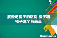 脐橙与橘子的区别 橙子和橘子哪个营养高